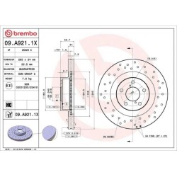 Dischi anteriori 293x24 Xtra Subaru/Toyota BRE-09.A921.1X