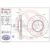 Dischi anteriori 315x30 Xtra Subaru Levorg BRE-09.D245.1X