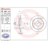 Dischi posteriori 253x10 Max Ford Fiesta/Focus BRE-08.4931.76