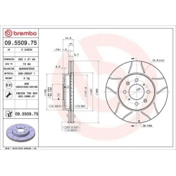 Dischi anteriori 262x21 Max Honda Civic/Crx del sol BRE-09.5509.75