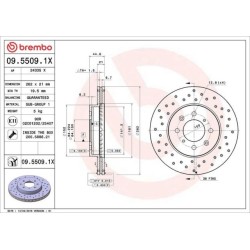 Dischi anteriori 262x21 Xtra Honda Civic/Crx del sol BRE-09.5509.1X