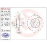 Dischi posteriori 251x10 Max Alfa Romeo/Lancia BRE-08.3126.76