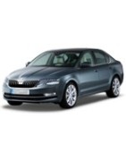 Tuning SKODA Octavia [5E-] 12-20